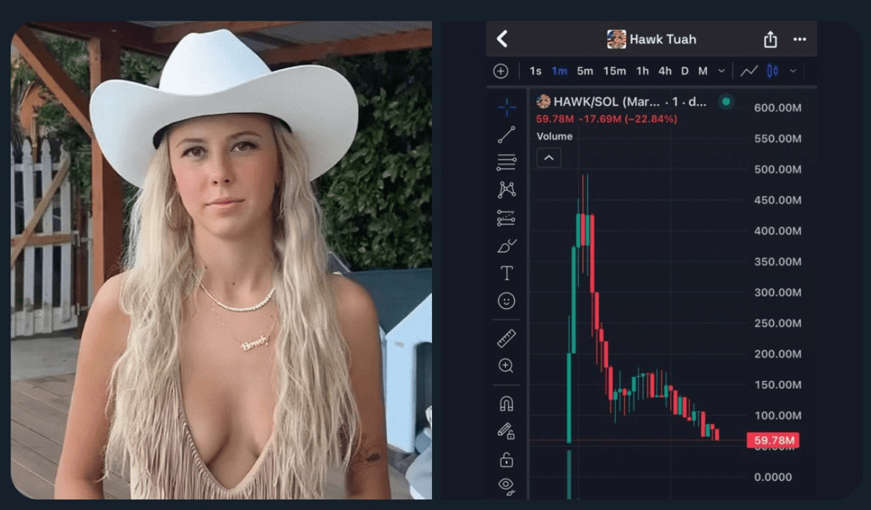 Spit on That Thang ($HAWK)